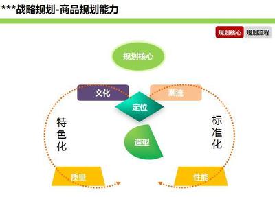 战略规则:营销规划、商品规划能力_财经_网